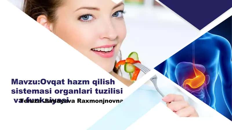 Ovqat hazm qilish sistemasi organlari tuzilisi va funksiyasi