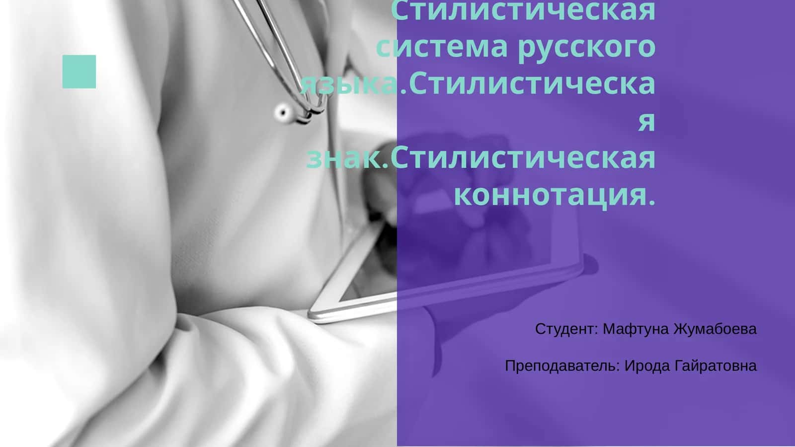 Стилистическая система русского языка