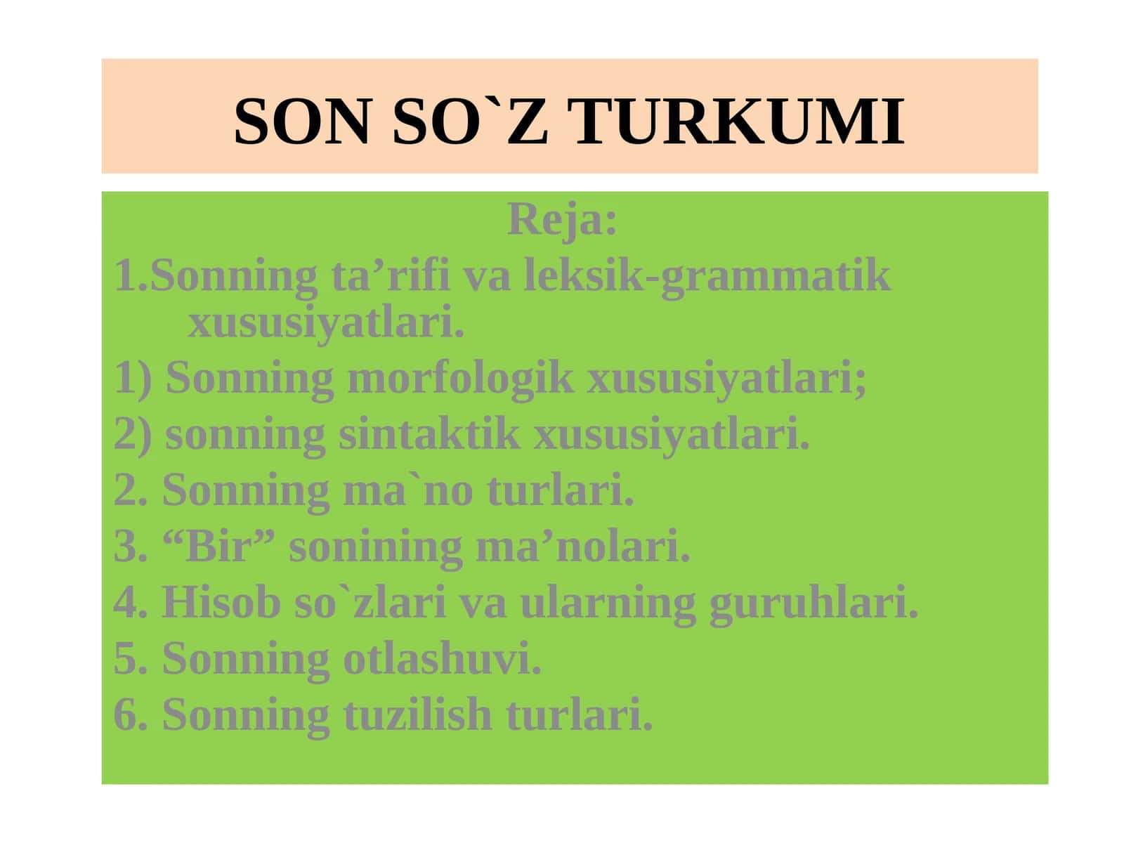 SON SO`Z TURKUMI
