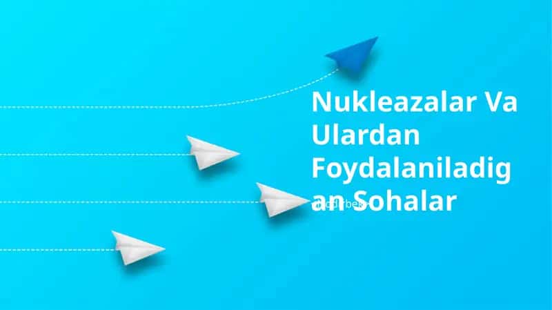 Nukleazalar Va Ulardan Foydalaniladigan Sohalar