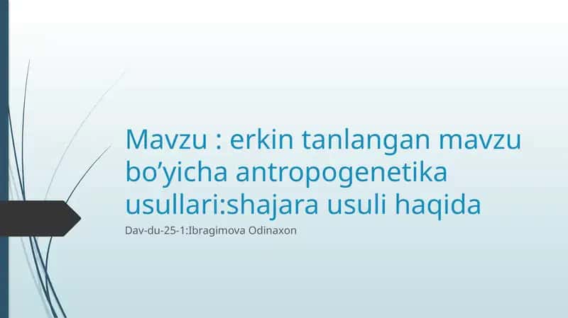 Shajara. oila daraxti