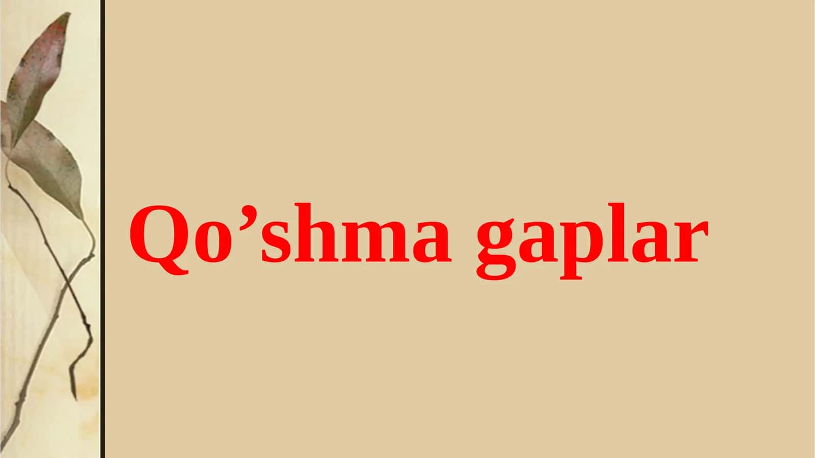 Qo’shmagaplar