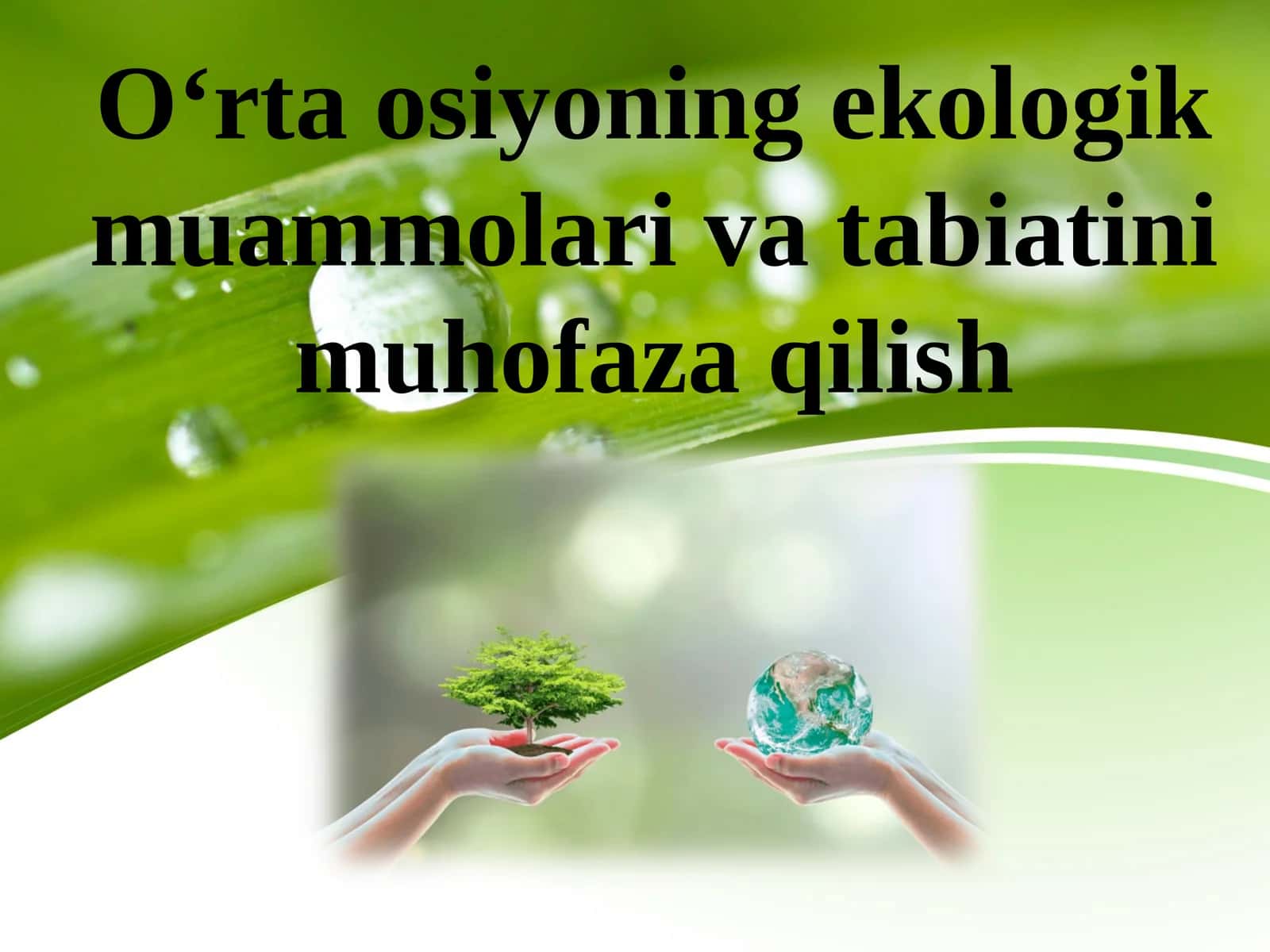 O‘rta osiyoning ekologik muammolari va tabiatini muhofaza qilish