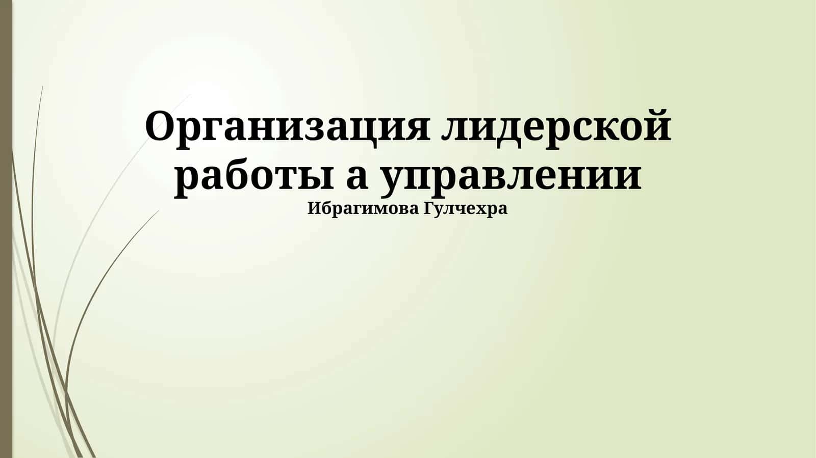 Организация лидерской работы а управлении