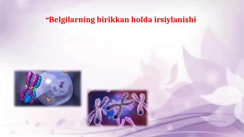 Belgilarning birikkan holda irsiylanishi