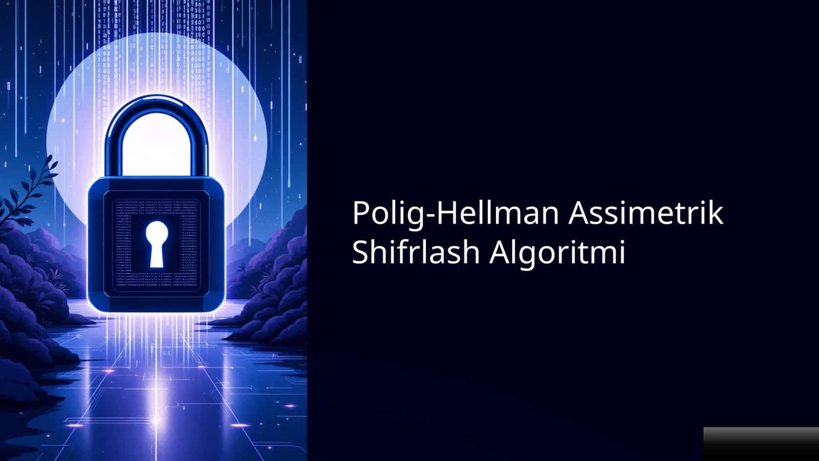 Polig-Hellman Assimetrik Shifrlash Algoritmi