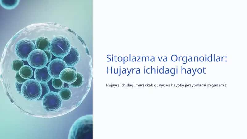 Sitoplazma va Organoidlar: Hujayra ichidagi hayot