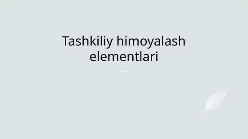 Tashkiliy himoyalash elementlari