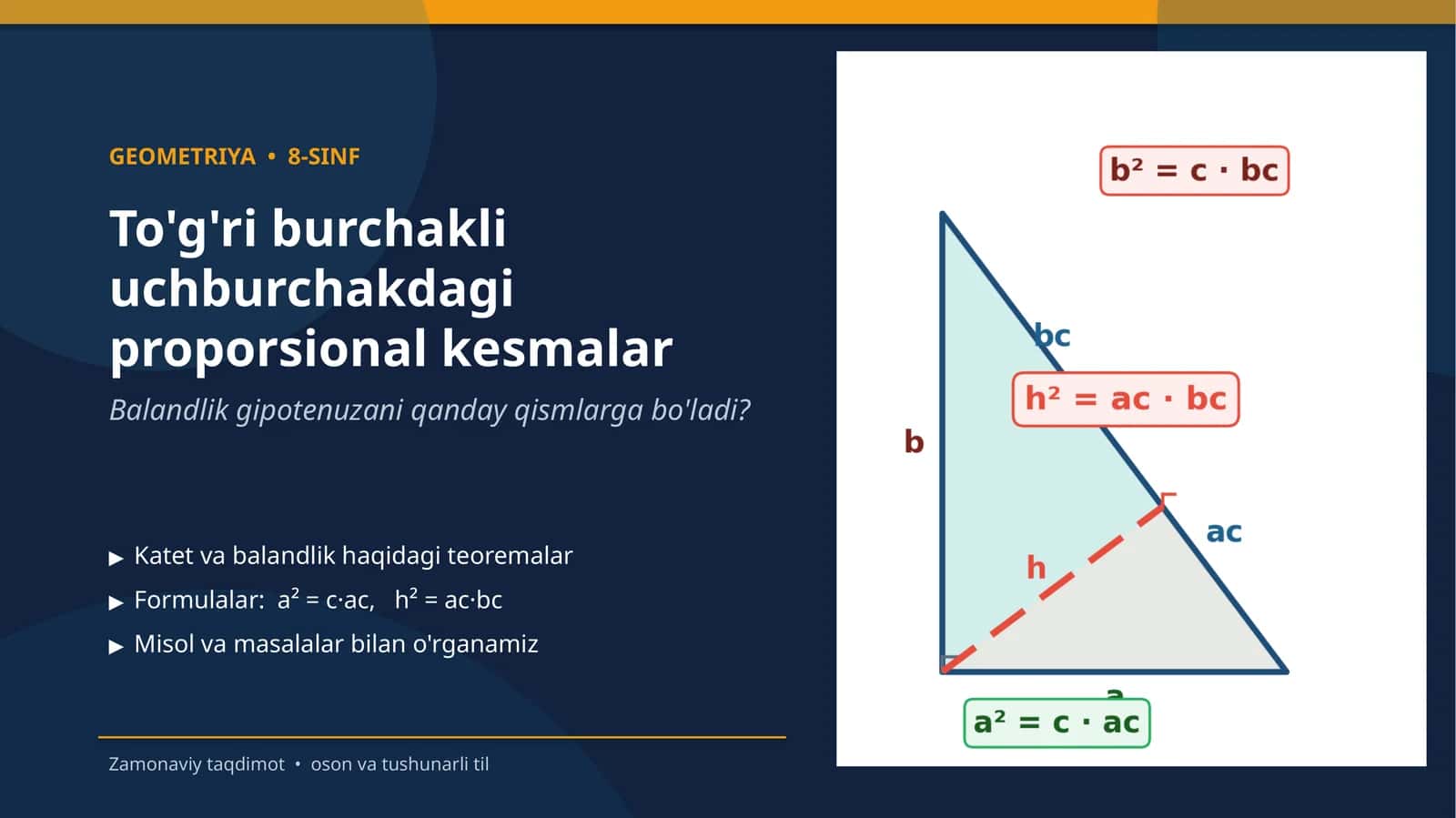 To'g'ri burchakli uchburchakdagi proporsional kesmalar