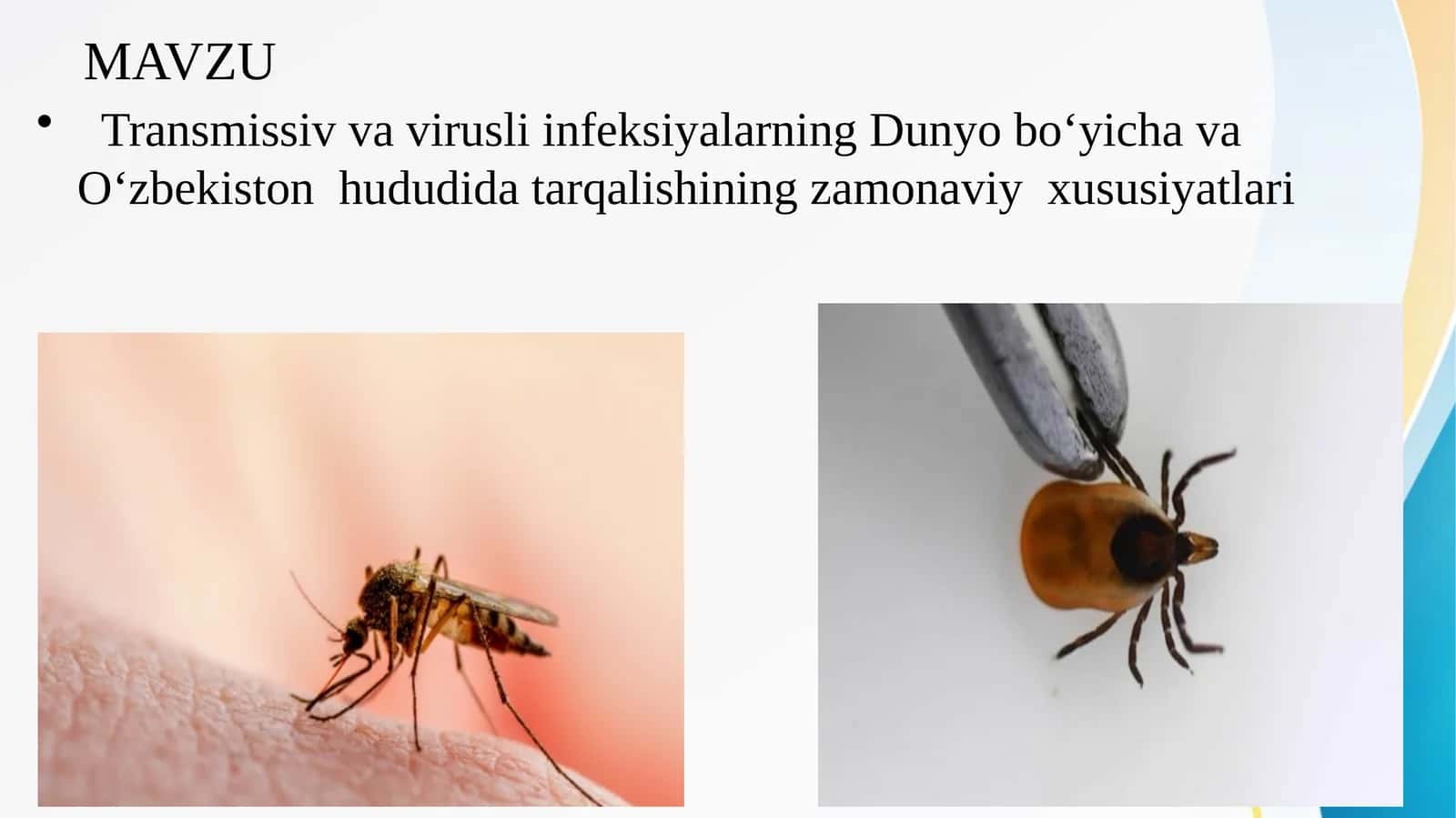 Transmissiv va virusli infeksiyalarning Dunyo boʻyicha va Oʻzbekiston hududida tarqalishining zamonaviy xususiyatlari