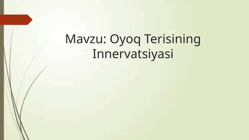 Oyoq Terisining Innervatsiyasi