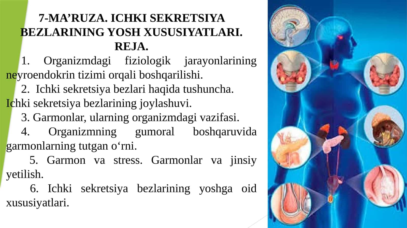 7-MA’RUZA. ICHKI SEKRETSIYA BEZLARINING YOSH XUSUSIYATLARI