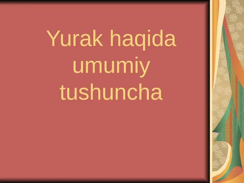 Yurak haqida umumiy tushuncha