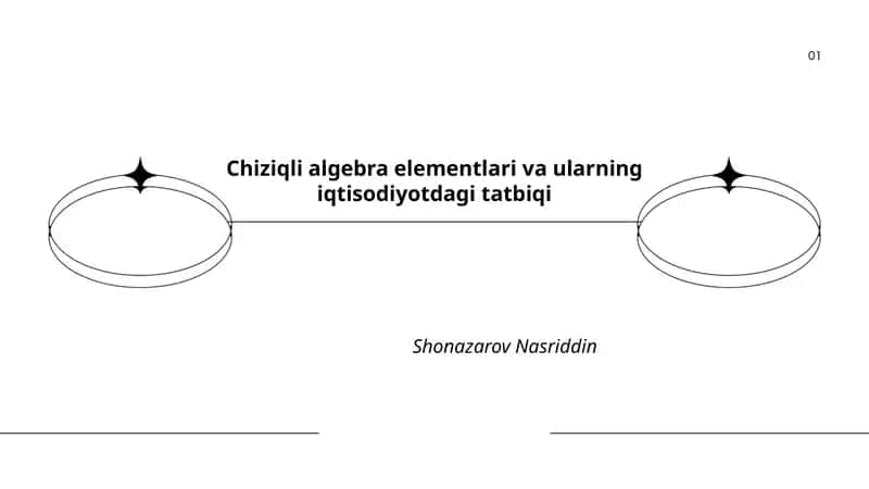 Chiziqli algebra elementlari va ularning iqtisodiyotdagi tatbiqi