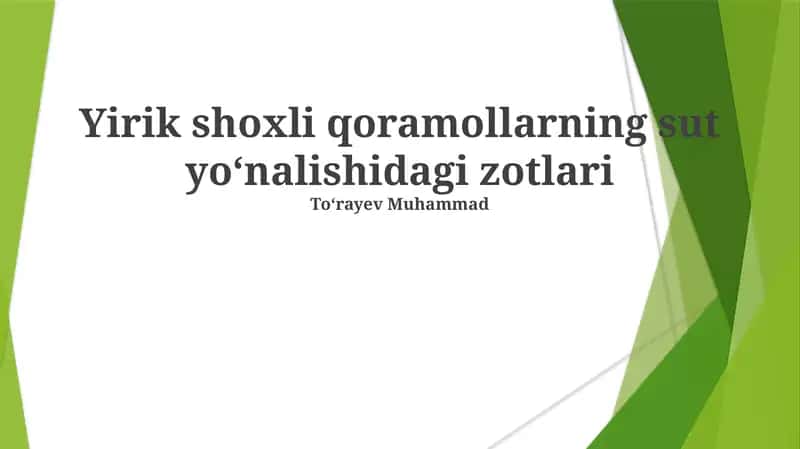 Yirik shoxli qoramollarning sut yoʻnalishidagi zotlari