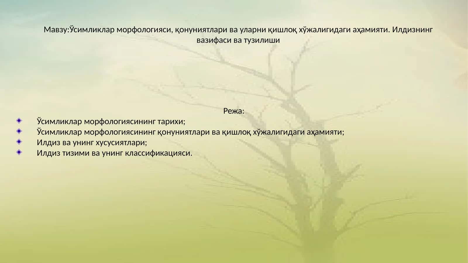 Ўсимликлар морфологияси, қонуниятлари ва уларни қишлоқ хўжалигидаги аҳамияти. Илдизнинг вазифаси ва тузилиши