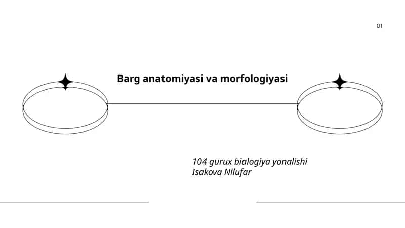 Barg anatomiyasi va morfologiyasi
