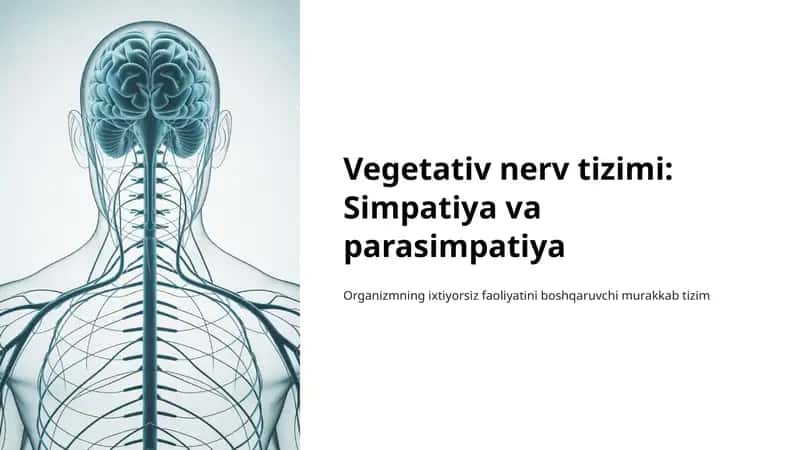 Vegetativ nerv tizimi