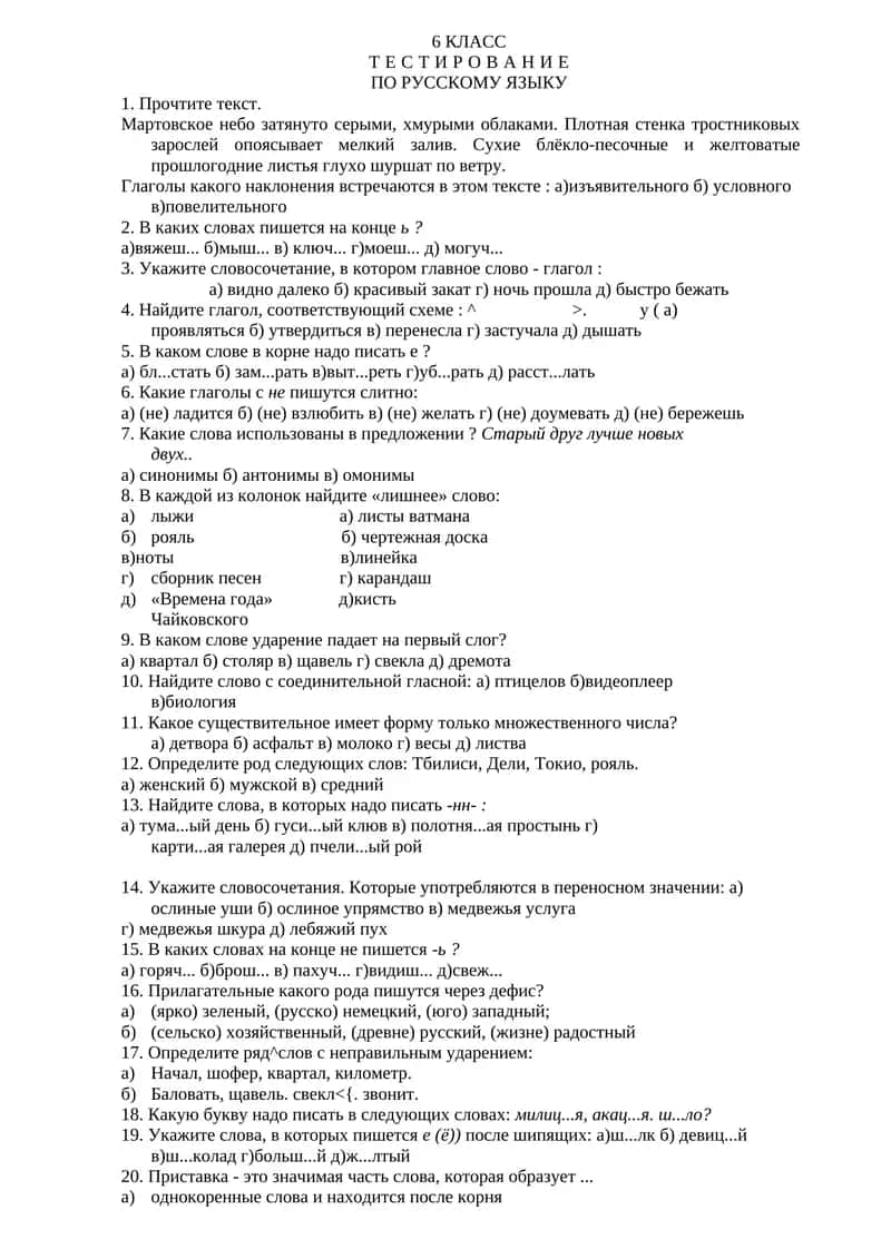 ТЕСТИРОВАНИЕ ПО РУССКОМУ ЯЗЫКУ