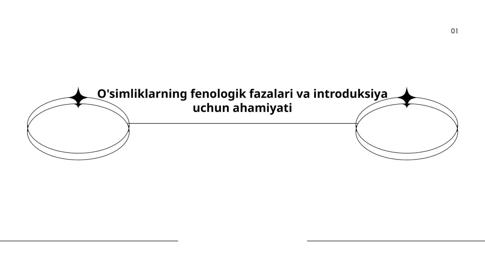 O'simliklarning fenologik fazalari va introduksiya uchun ahamiyati
