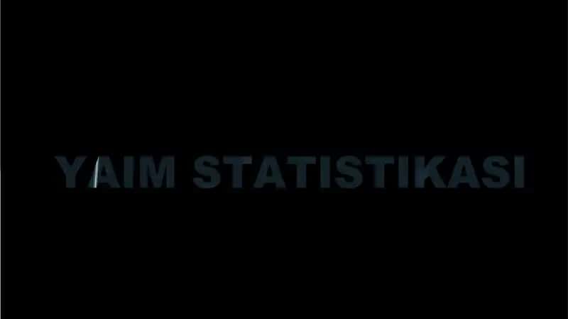 YaIM statistikasi