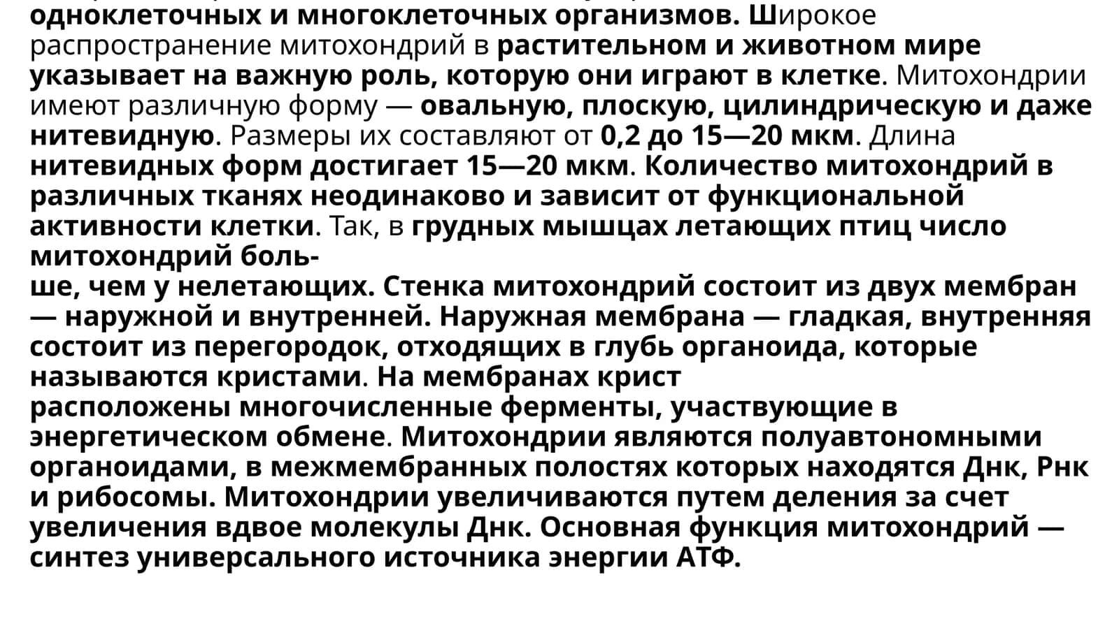Митохондрии, пластиды, лизосомы и другие органоиды цитоплазмы