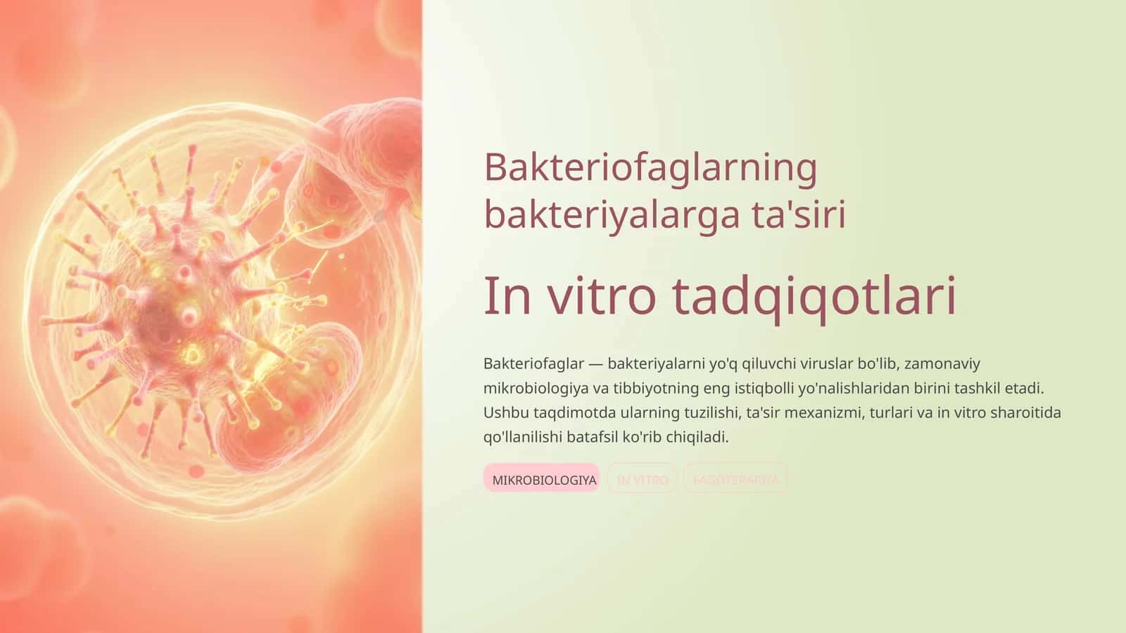 Bakteriofaglarning bakteriyalarga ta'siri
