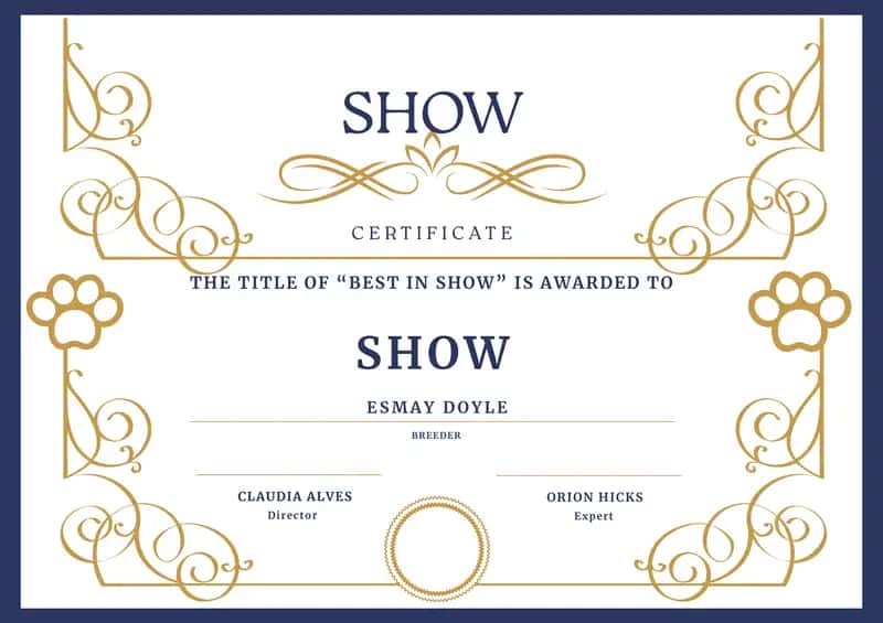 Best in Show Certificate