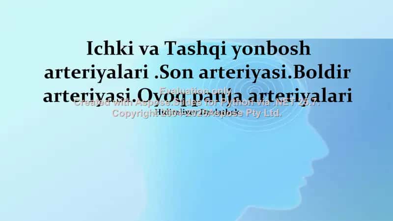 Ichki va Tashqi yonbosh arteriyalari