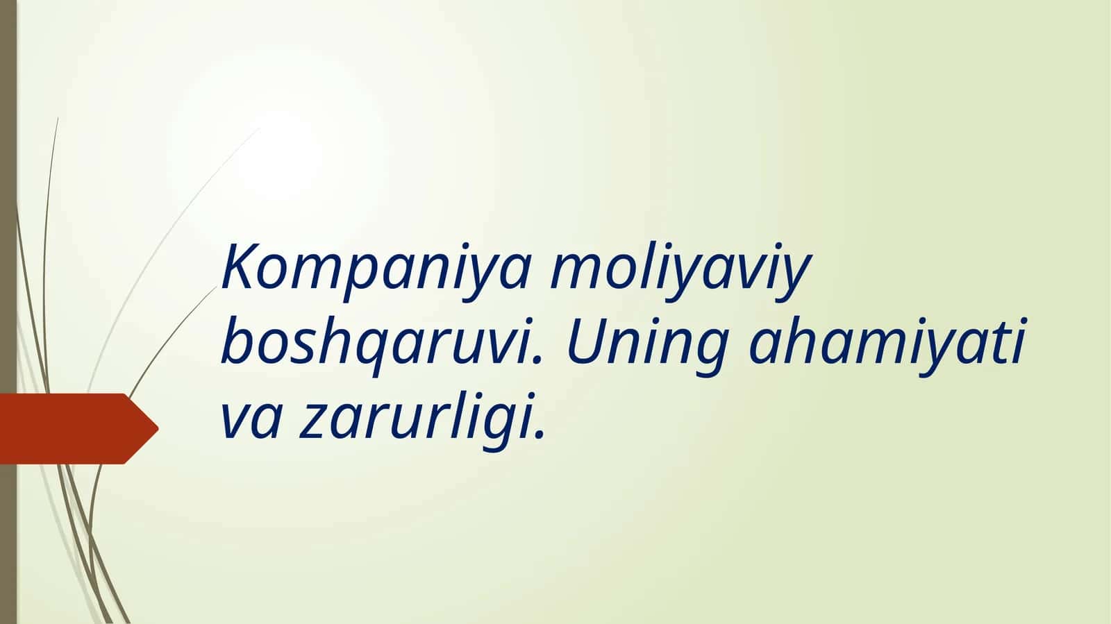 Moliyaviy boshqaruv tizimi