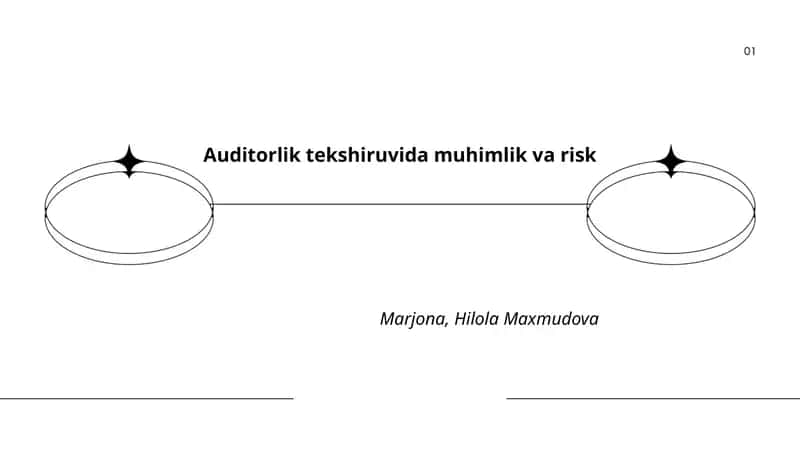 Auditorlik tekshiruvida muhimlik va risk