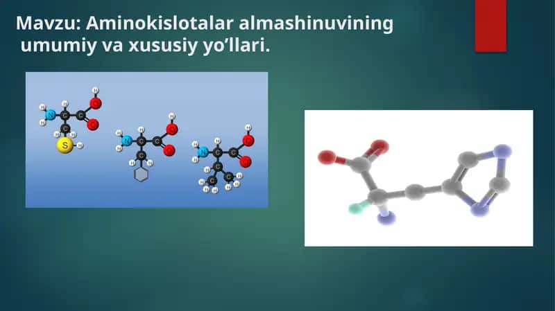 Aminokislotalar almashinuvining umumiy va xususiy yo’llari.