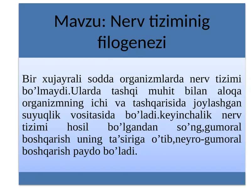 Nerv tizimi filogenezda