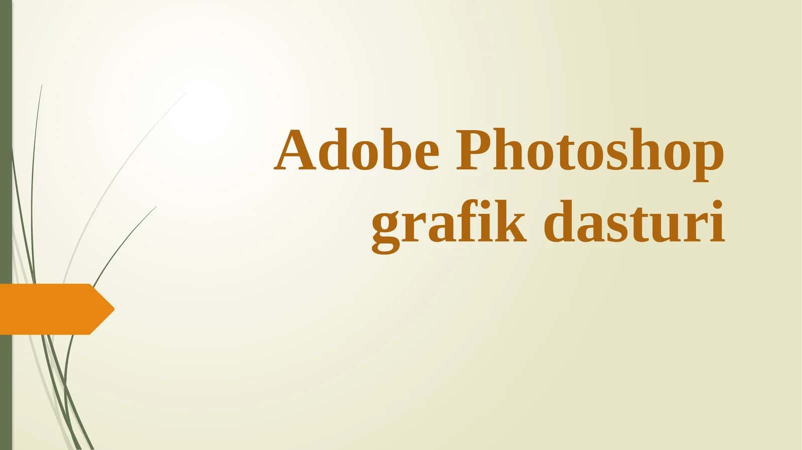 Adobe Photoshopgrafikdasturi