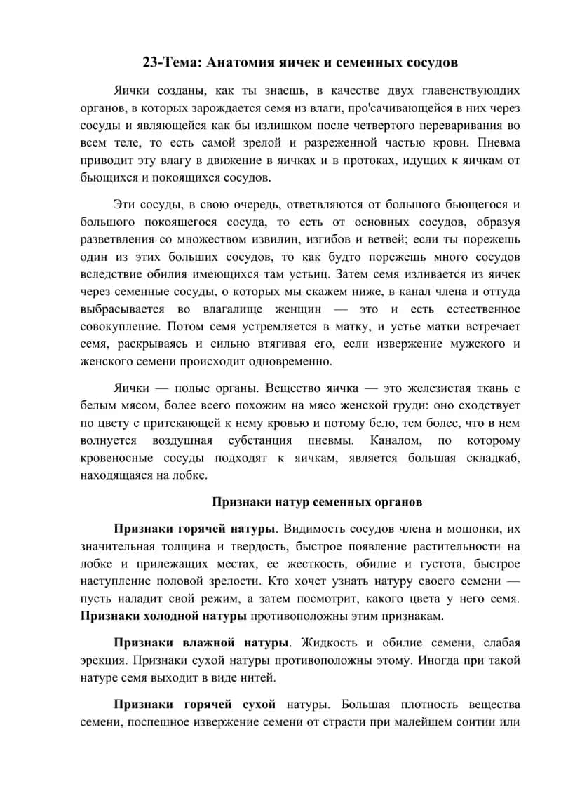 Анатомия яичек и семенных сосудов