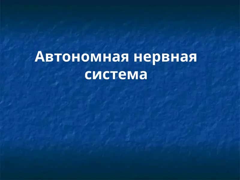 Верхний шейный узел