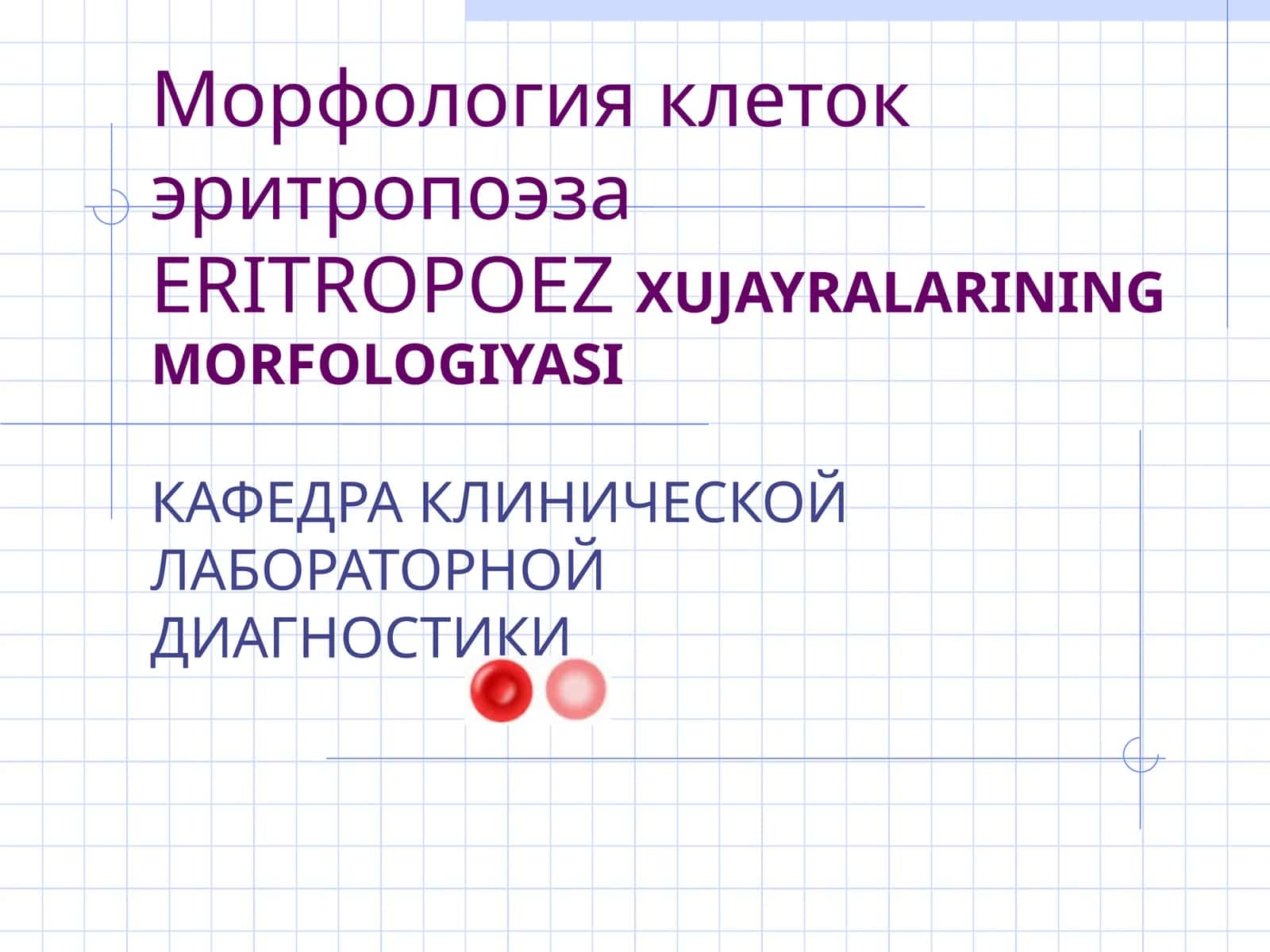 ERITROPOEZ XUJAYRALARINING MORFOLOGIYASI