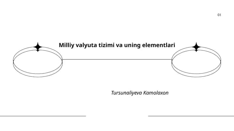 Milliy valyuta tizimi va uning elementlari