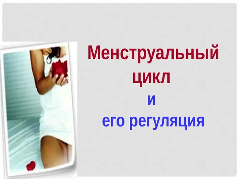 Менструальный цикл и его регуляция