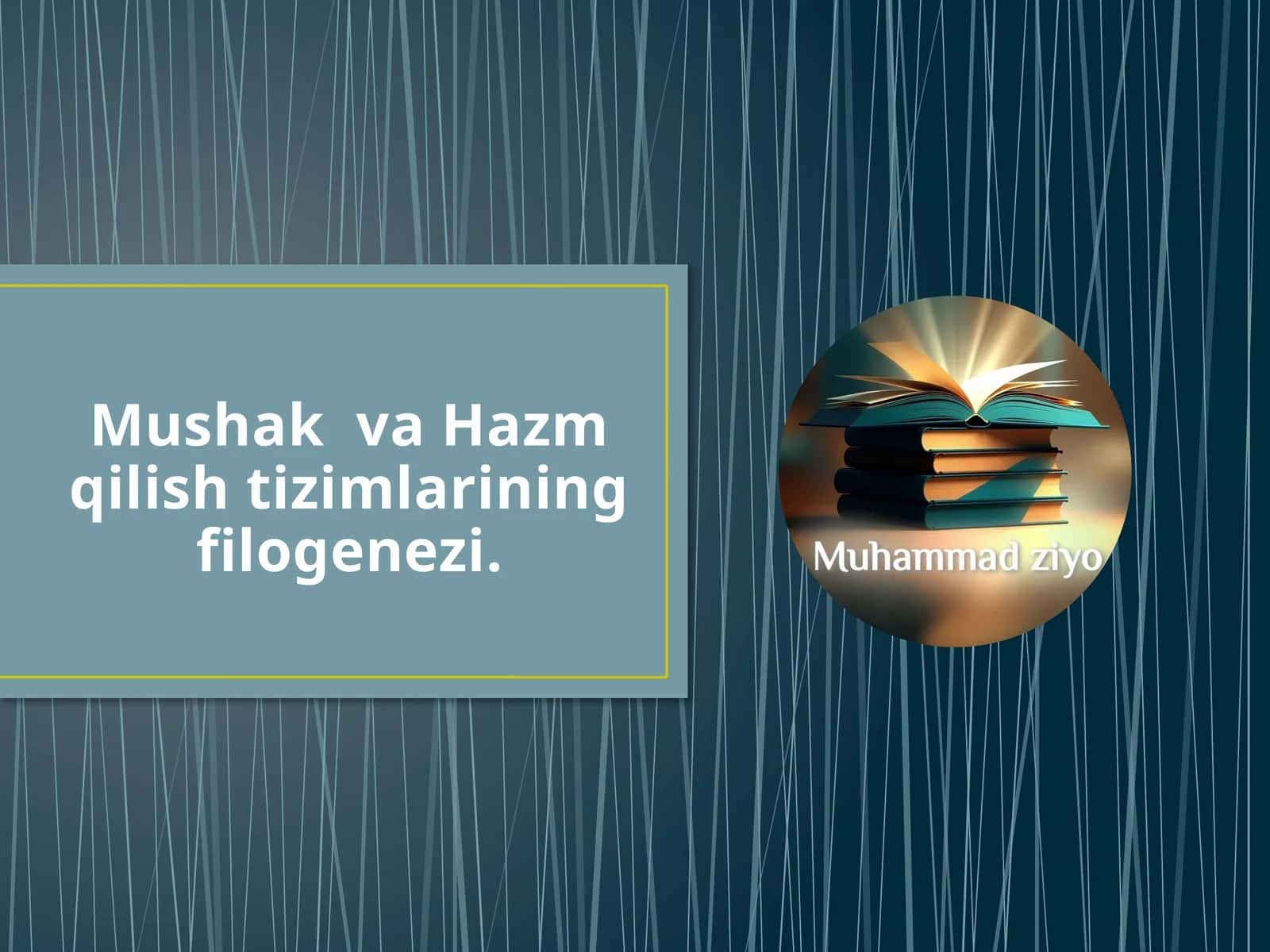 Ҳазм системаси онтогенези