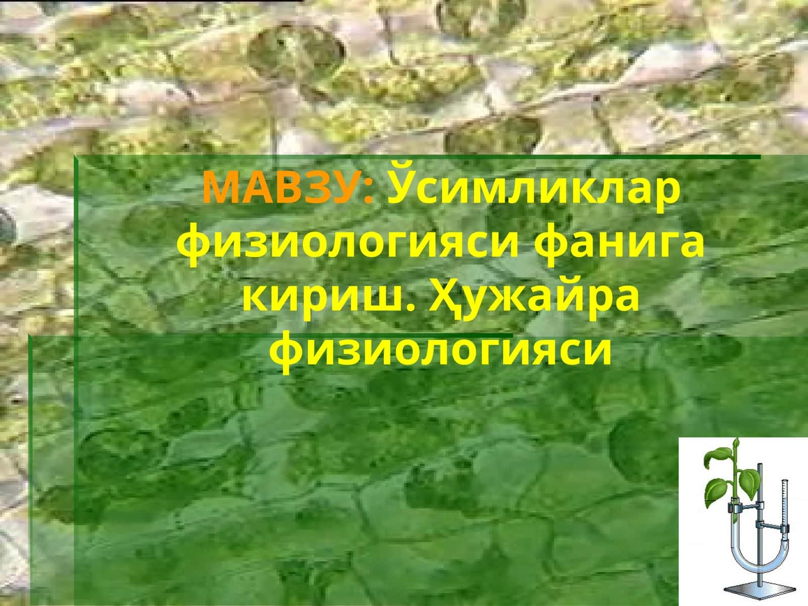 Ўсимликлар физиологияси фанига кириш. Ҳужайра физиологияси