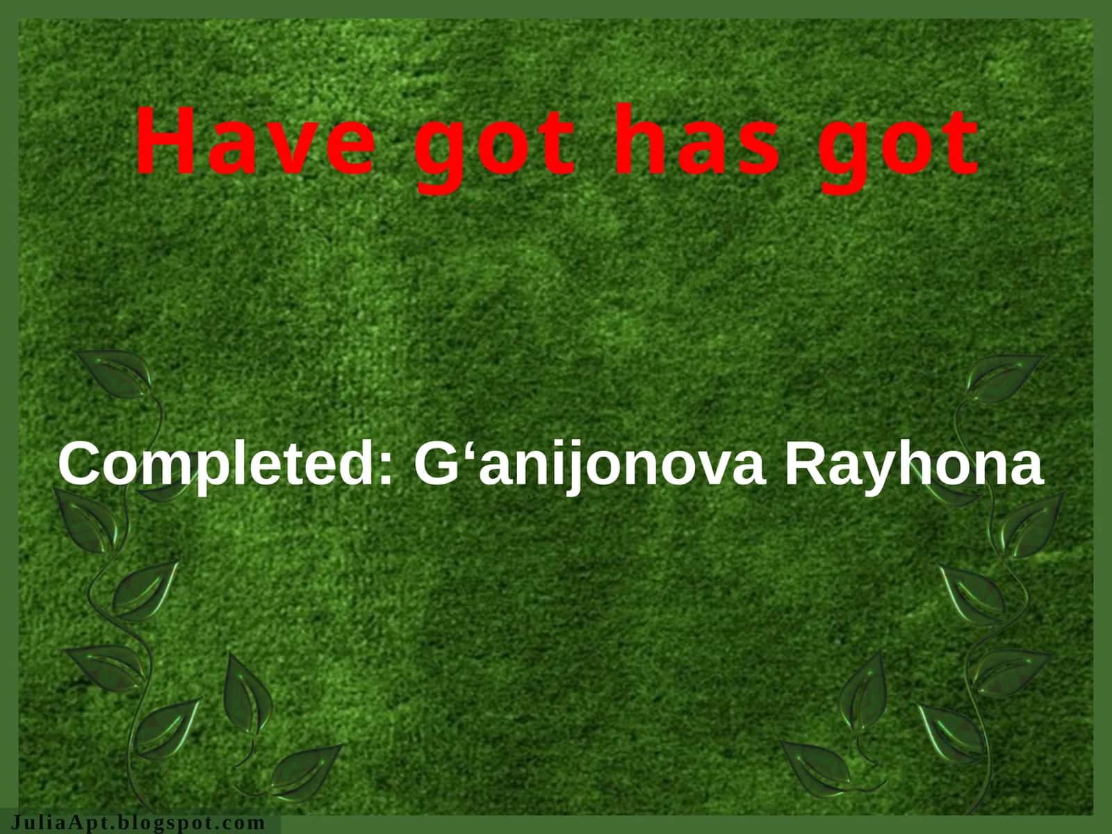 Have got has got