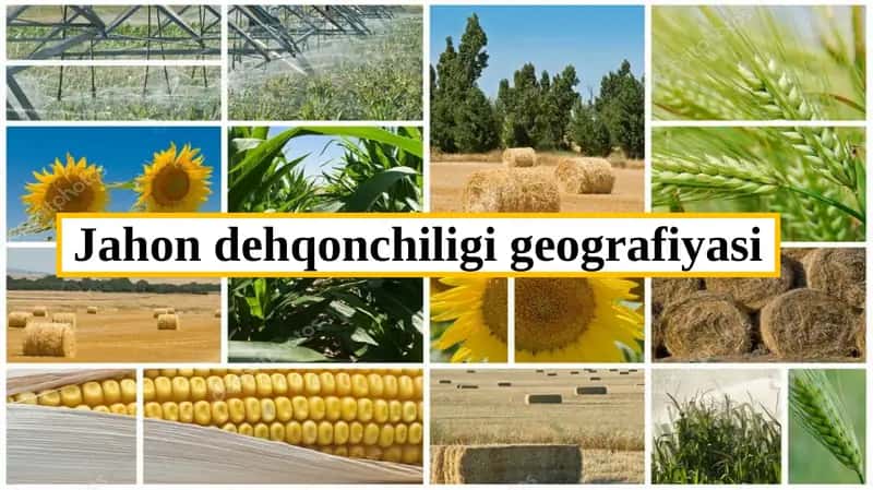 Jahon dehqonchiligi geografiyasi