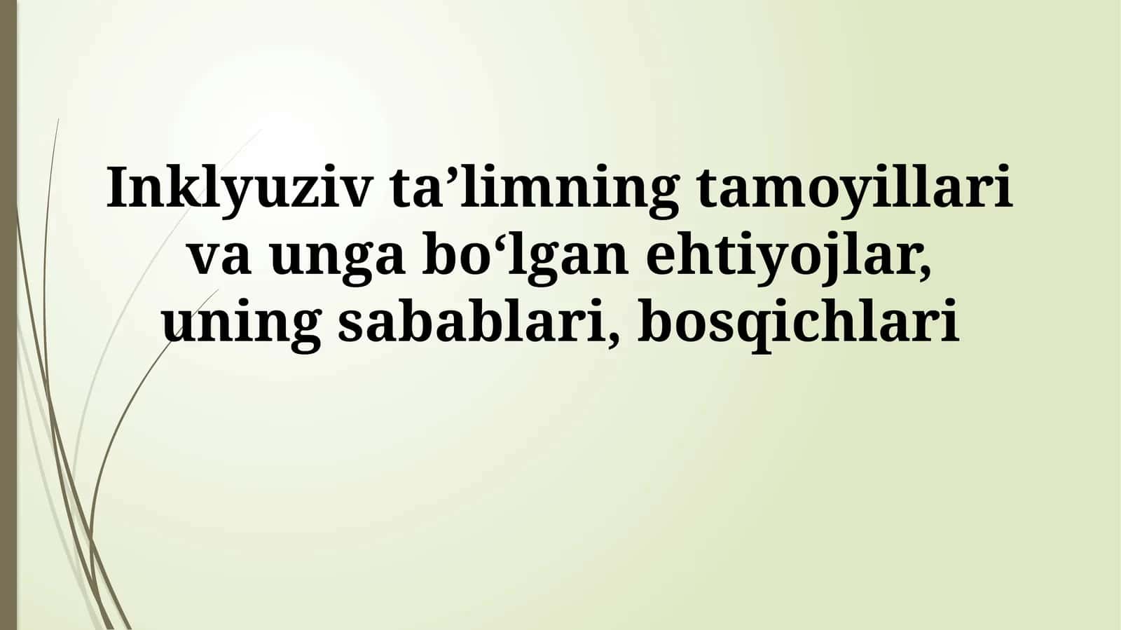Inklyuziv taʼlimning tamoyillari va unga boʻlgan ehtiyojlar, uning sabablari,bosqichlari