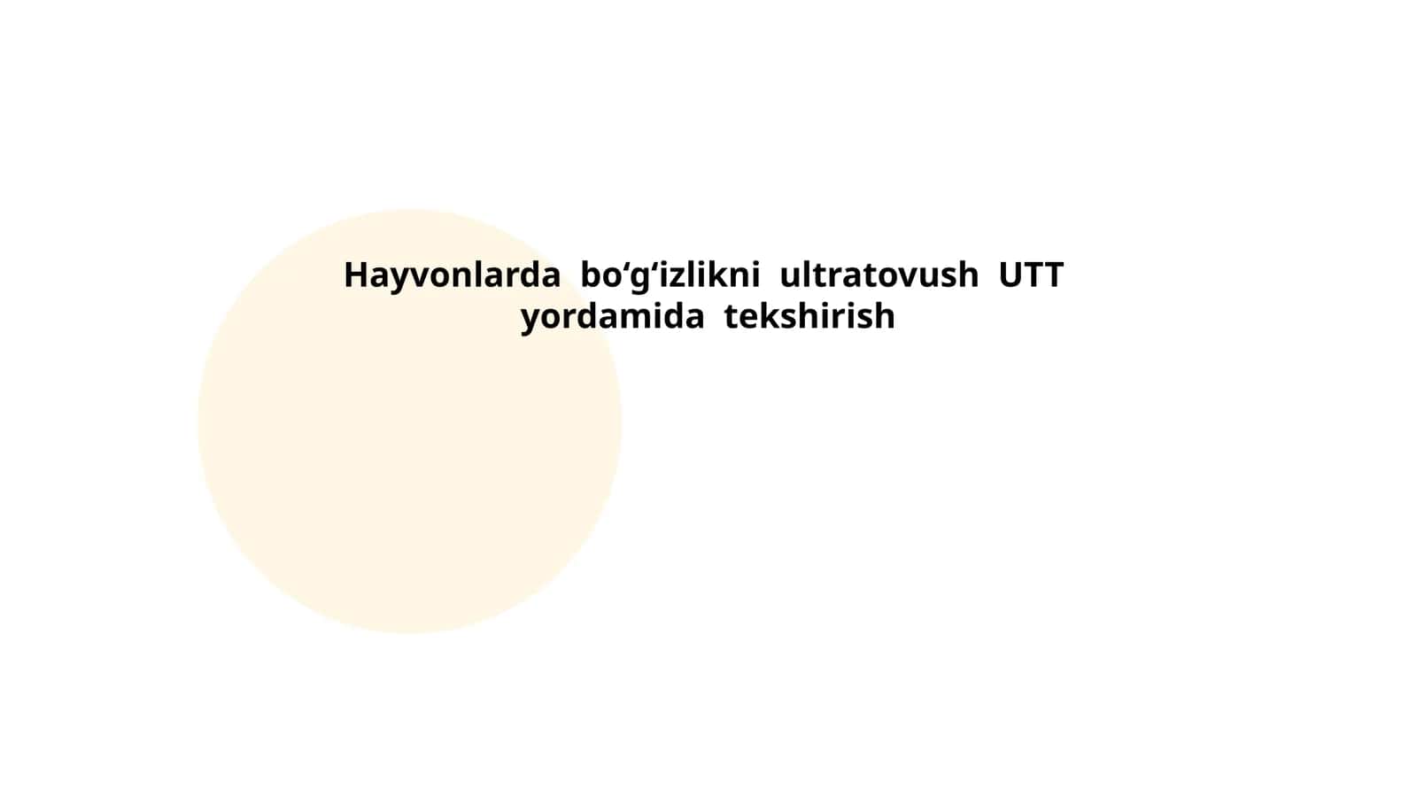 Hayvonlarda bo‘g‘izlikni ultratovush UTT yordamida tekshirish
