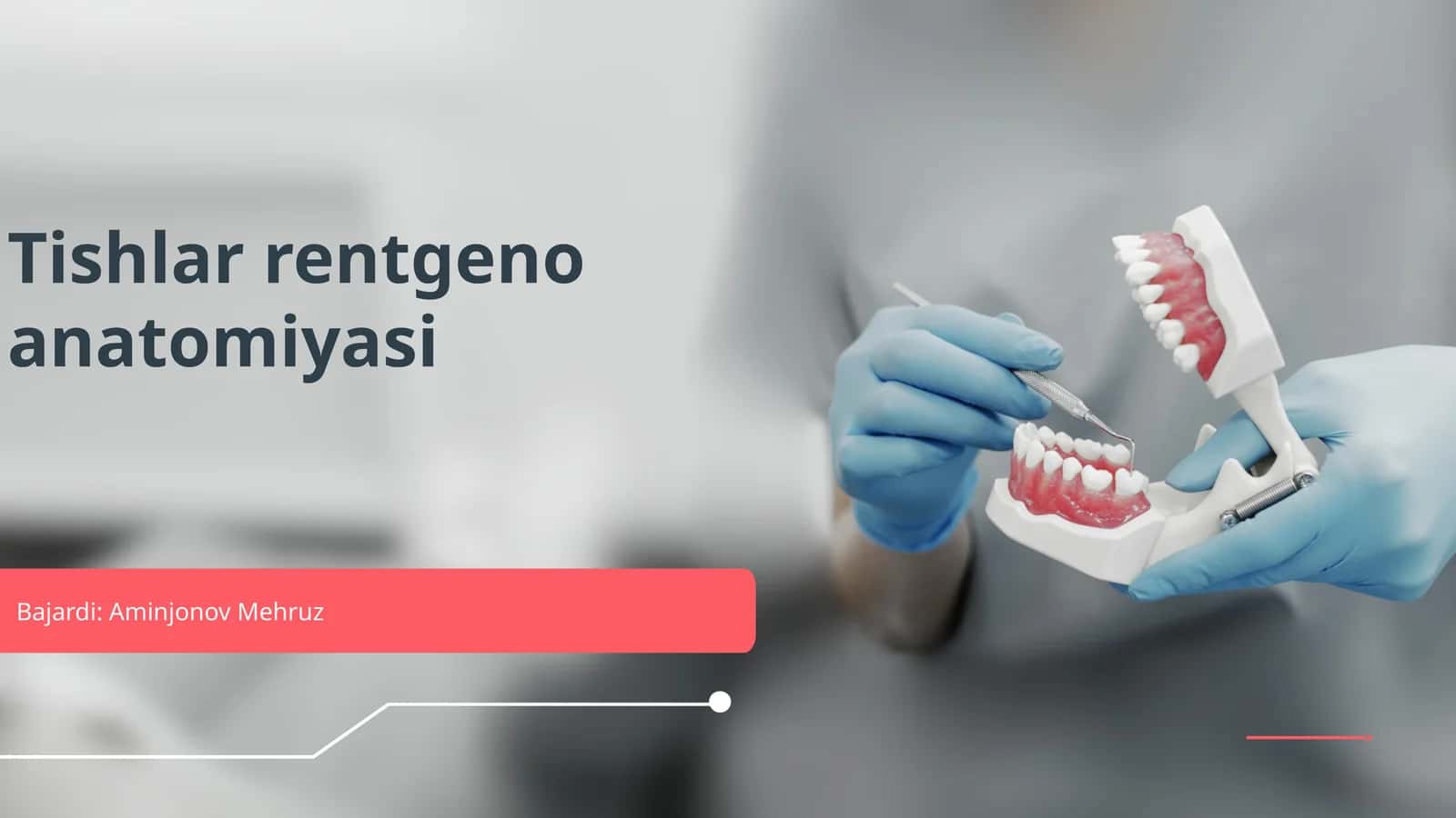 Tishlar rentgeno anatomiyasi