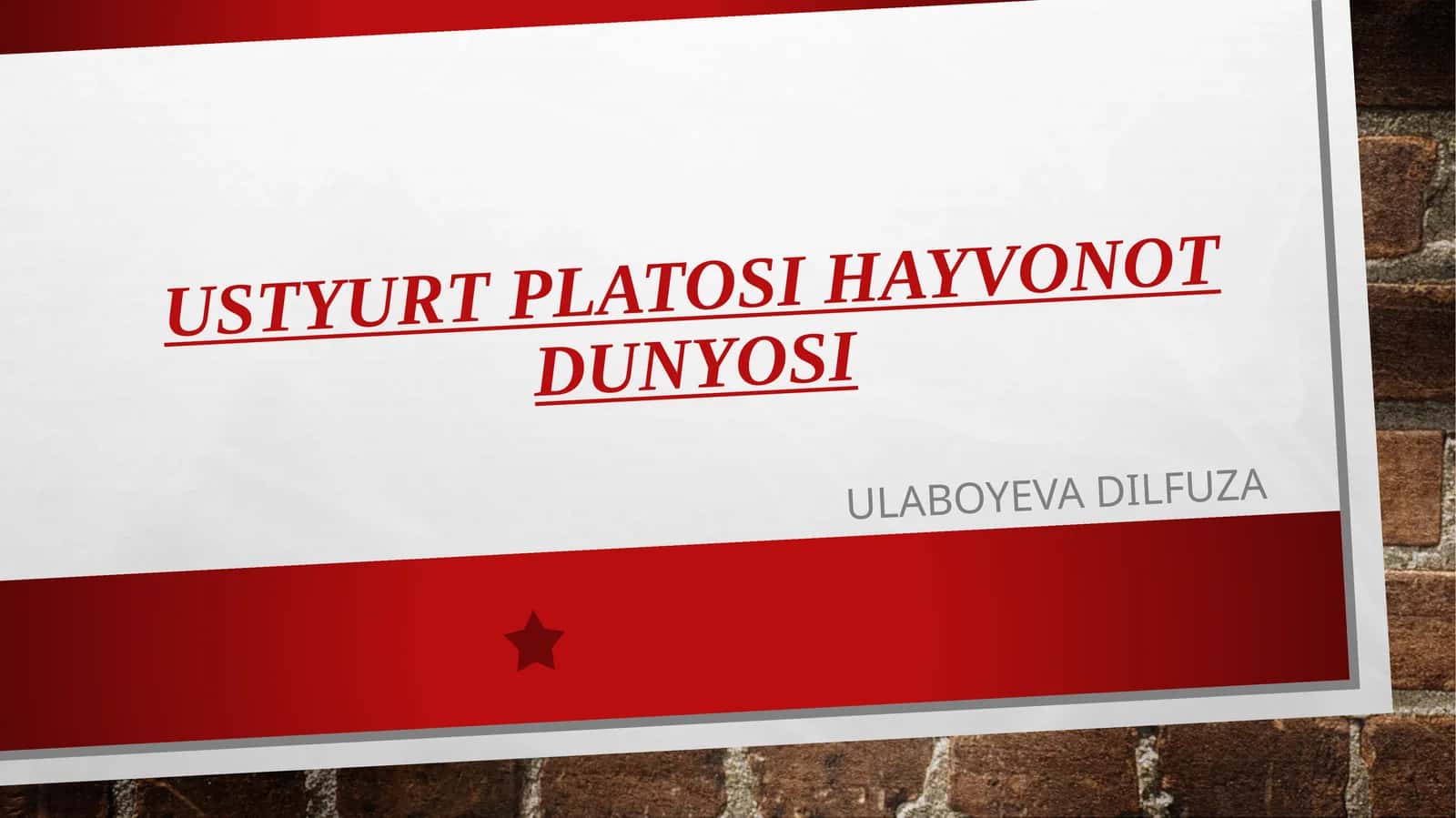 Ustyurtplatosi hayvonot dunyosi