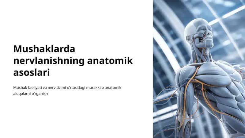 Mushaklarda nervlanishning anatomik asoslari