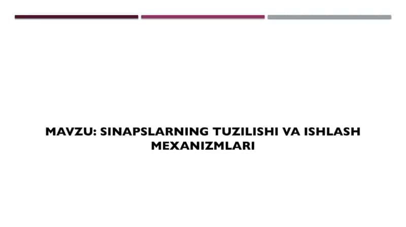 Sinapslarning tuzilishi va ishlash mexanizmlari