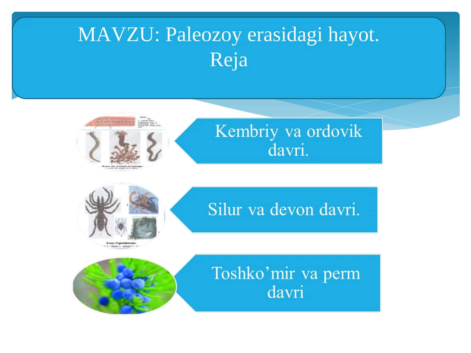 Paleozoy erasidagi hayot